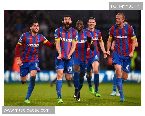 波黑与爱尔兰对决前瞻分析球队状态战术布置及关键球员表现