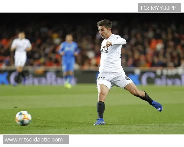 费兰托雷斯在西班牙国家队的崛起与未来展望分析