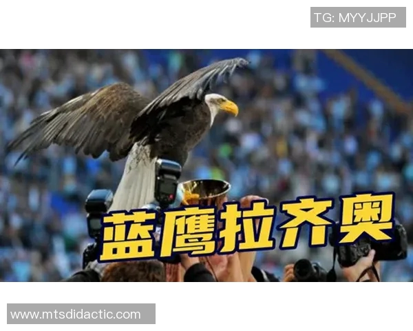 前进之鹰与格拉夫的精彩对决揭示足球战术与团队精神的完美结合