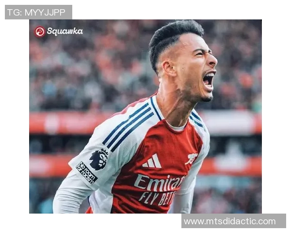 马丁内利在赛场上的崛起与未来发展潜力分析 马丁内利在赛场上的崛起与未来发展潜力分析