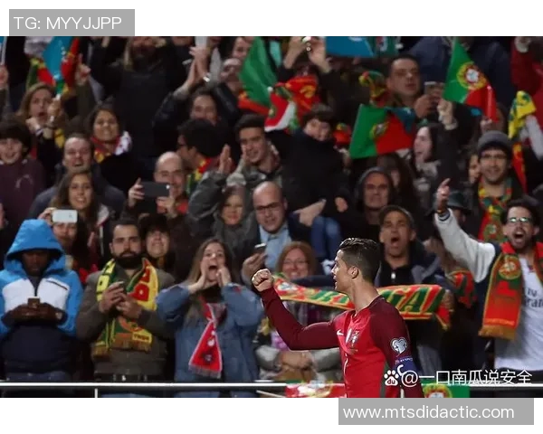 2010年世界杯经典对决荷兰与葡萄牙的激烈较量回顾