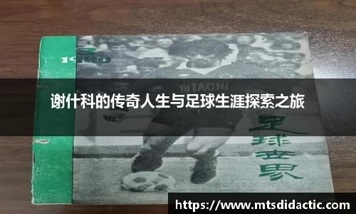 多宝电竞(集团)官网