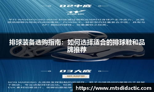 排球装备选购指南：如何选择适合的排球鞋和品牌推荐